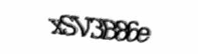 Security check image, please type the characters shown