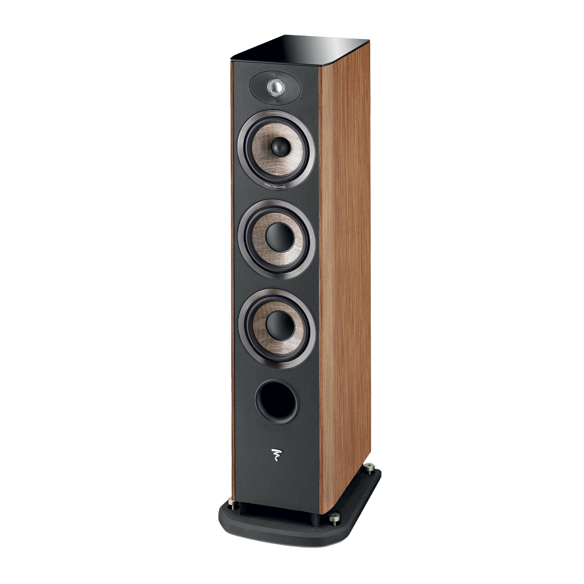 サポート| Focal